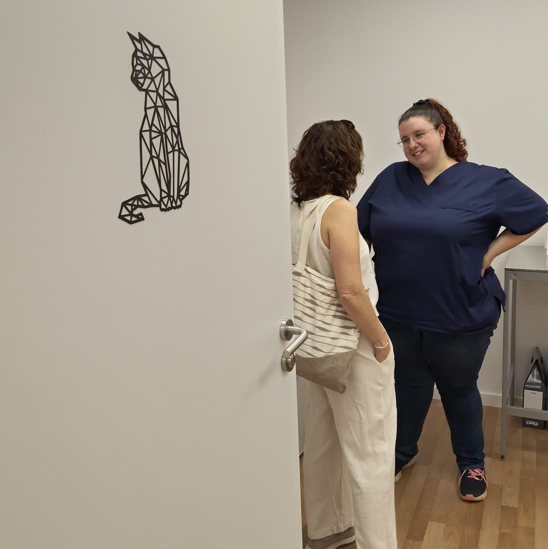 consulta felina vetovalles